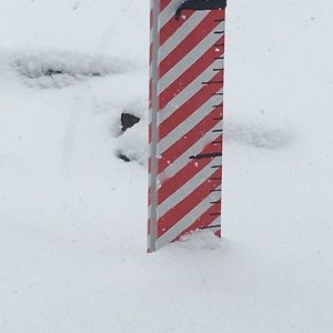 Meet your Posher, Vaughn